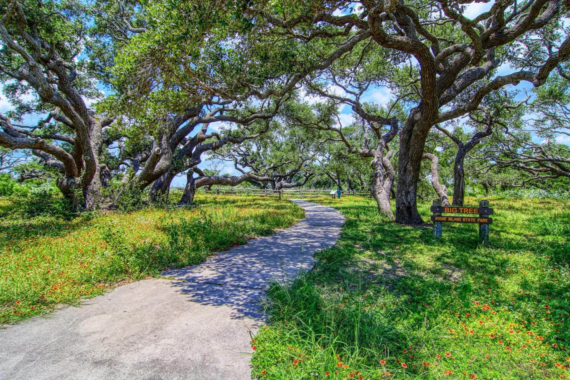 Myrtle Villa Rockport Exterior photo